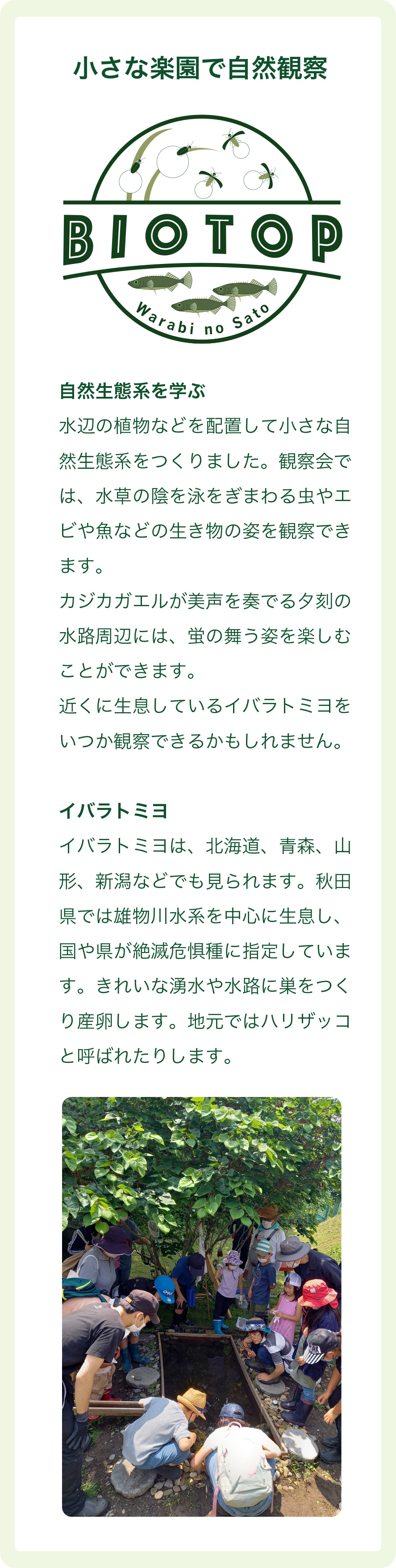 小さな楽園で自然観察